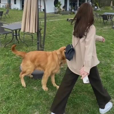 步行街